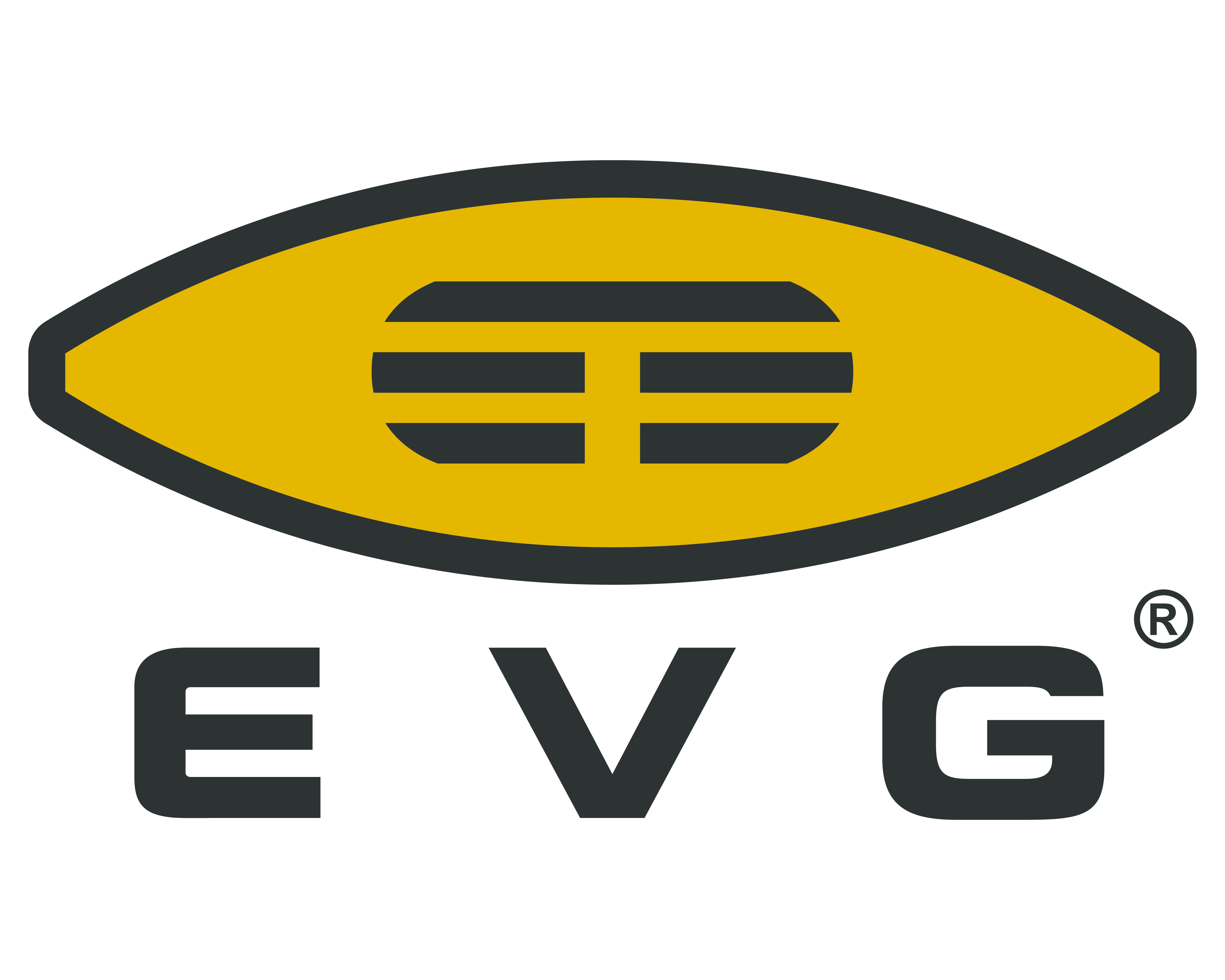EV Group