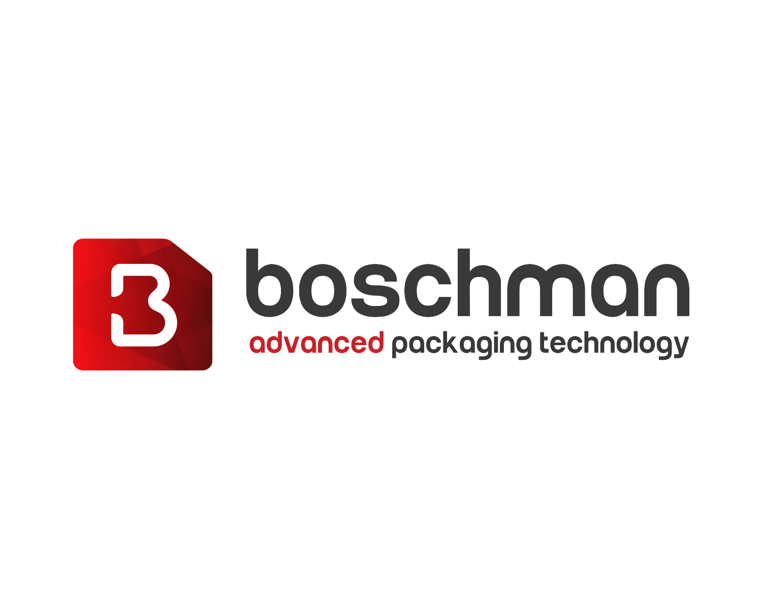 Boschman advanced packaging technology